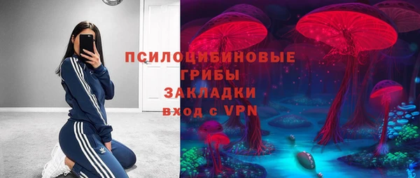 Альфа ПВП Алексин