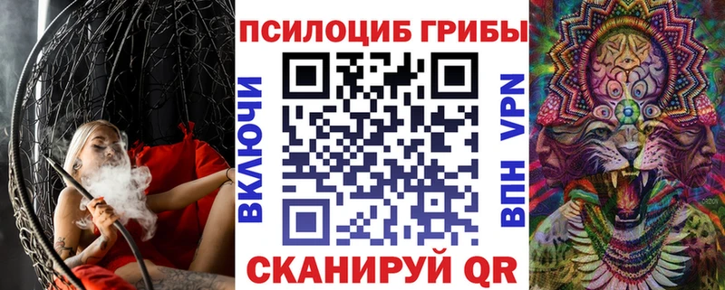 Псилоцибиновые грибы мухоморы  omg маркетплейс  Красноярск 